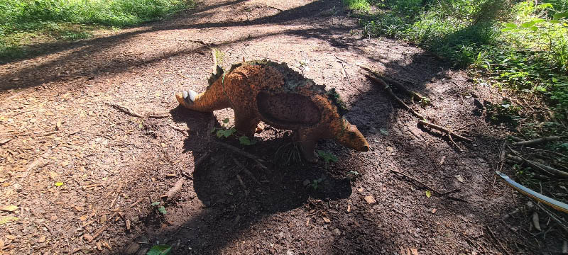 20210903 143749-bogenschiessen