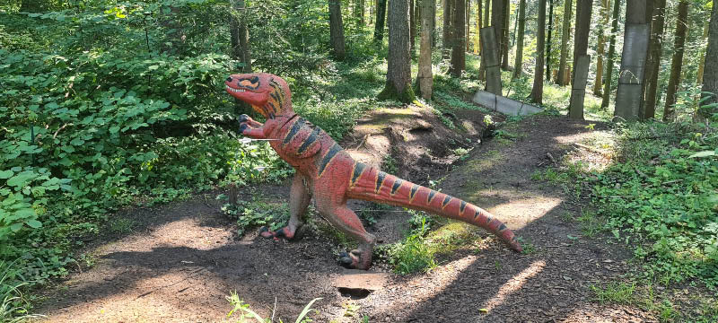 20210903 145223-bogenschiessen