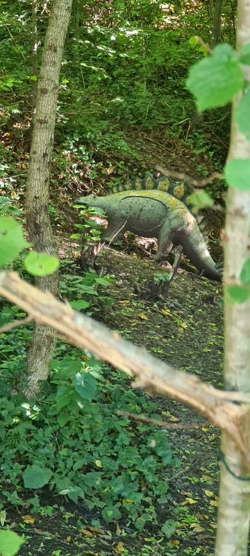 20210903 145843-bogenschiessen