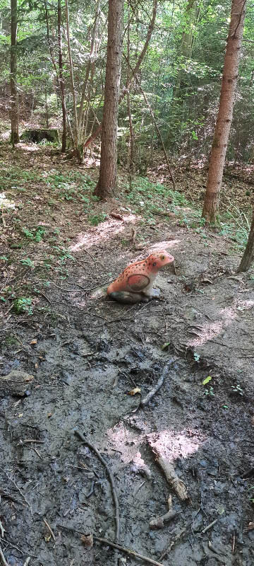 20210903 154837-bogenschiessen