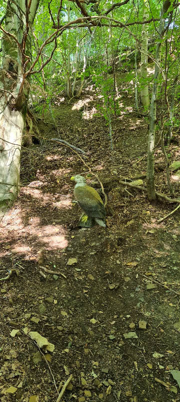 20210903 155356-bogenschiessen