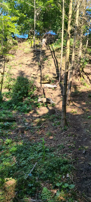 20210903 155708-bogenschiessen