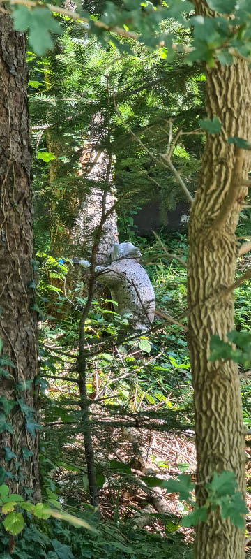 20210903 160152-bogenschiessen