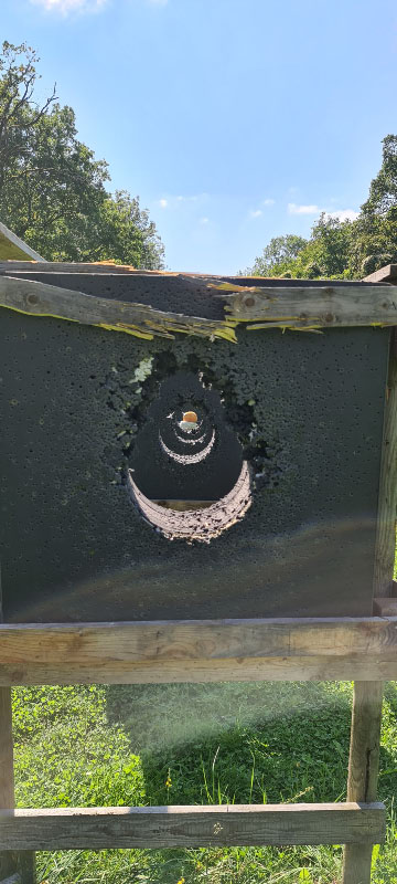 20210904 135331-bogenschiessen