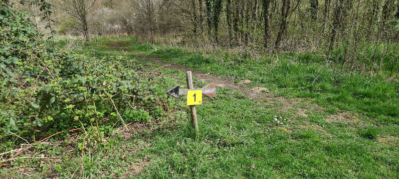 20220413 115614-bogenschiessen