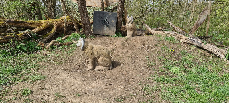 20220413 115940-bogenschiessen