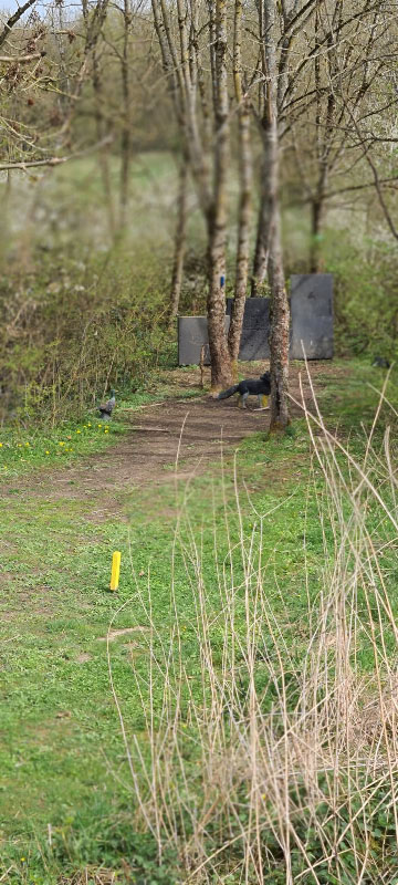 20220413 120114-bogenschiessen
