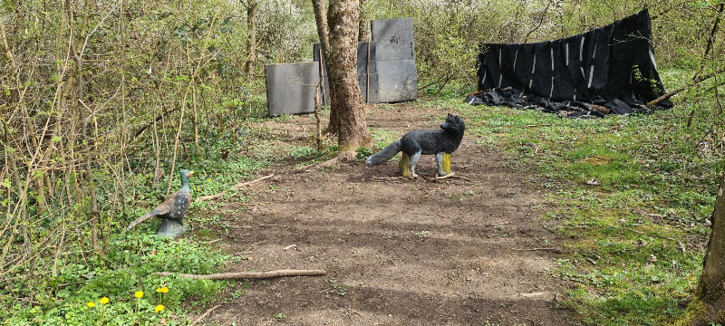 20220413 120351-bogenschiessen