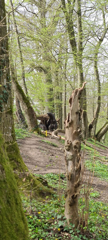 20220413 120623-bogenschiessen