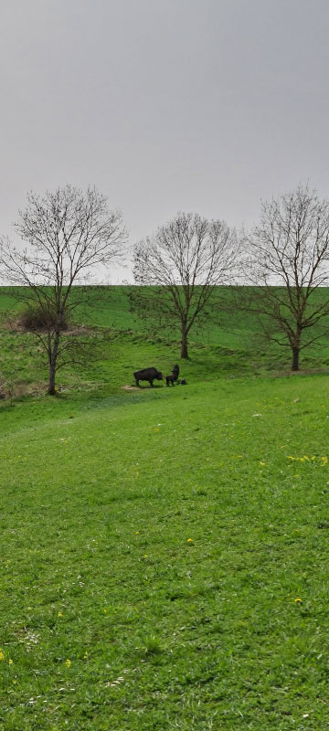 20220413 122338-bogenschiessen