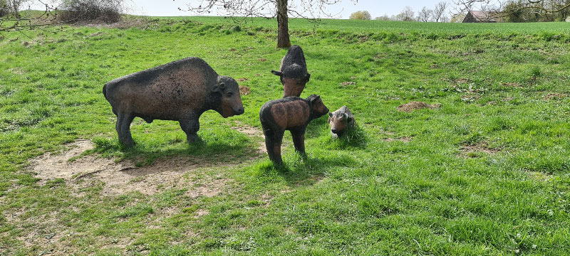 20220413 123232-bogenschiessen