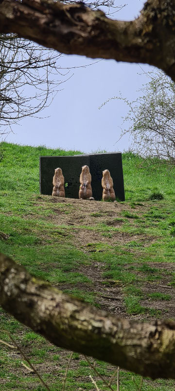 20220413 123455-bogenschiessen