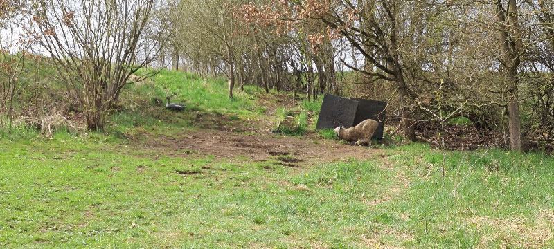 20220413 124141-bogenschiessen