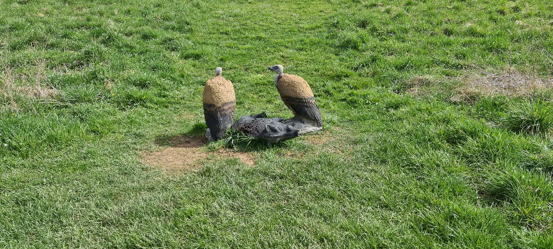 20220413 130343-bogenschiessen