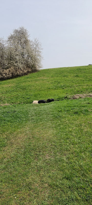 20220413 130638-bogenschiessen