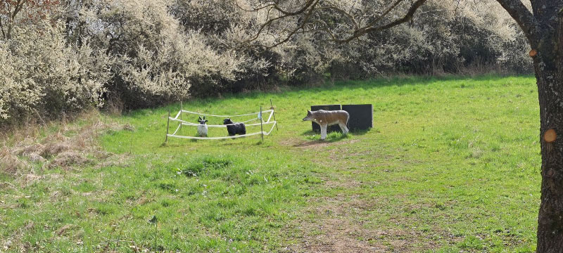 20220413 130906-bogenschiessen