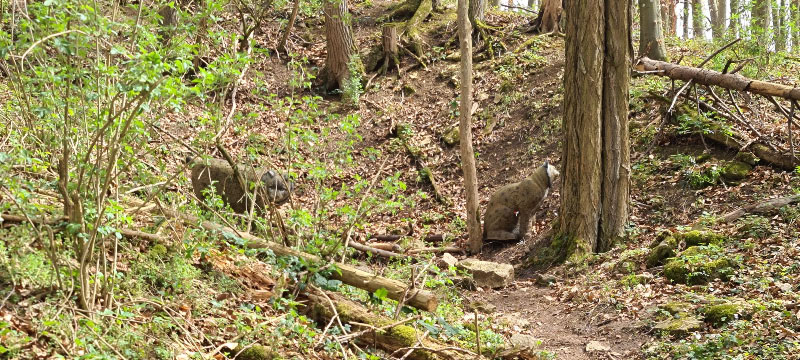 20220413 131633-bogenschiessen