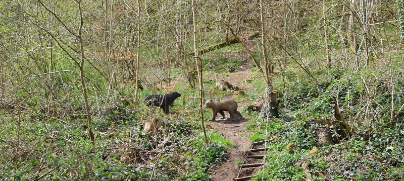 20220413 133249-bogenschiessen