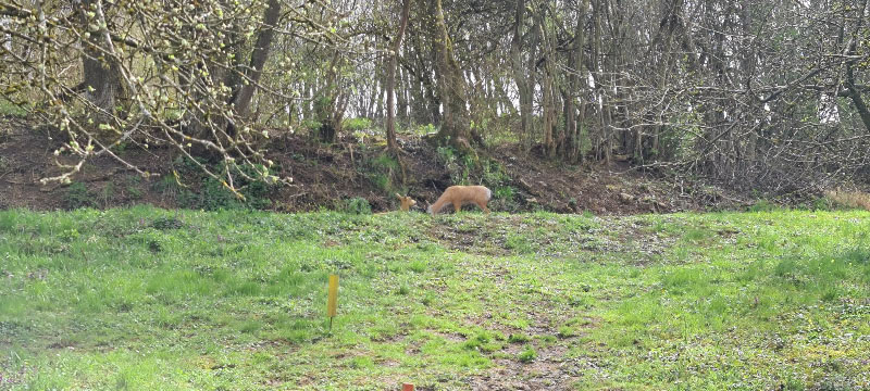 20220413 134022-bogenschiessen