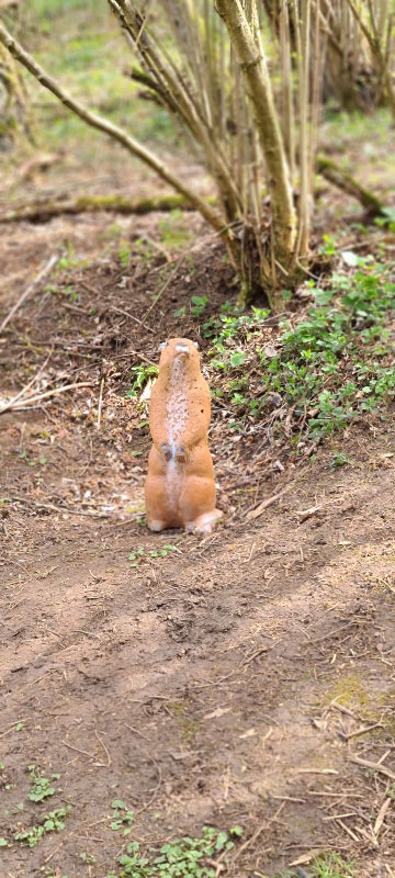 20220413 134926-bogenschiessen