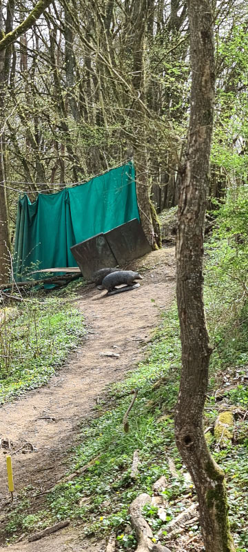 20220413 140011-bogenschiessen