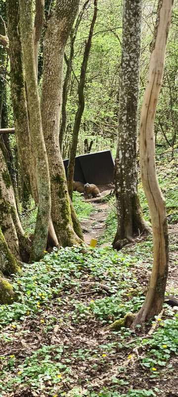 20220413 140332-bogenschiessen