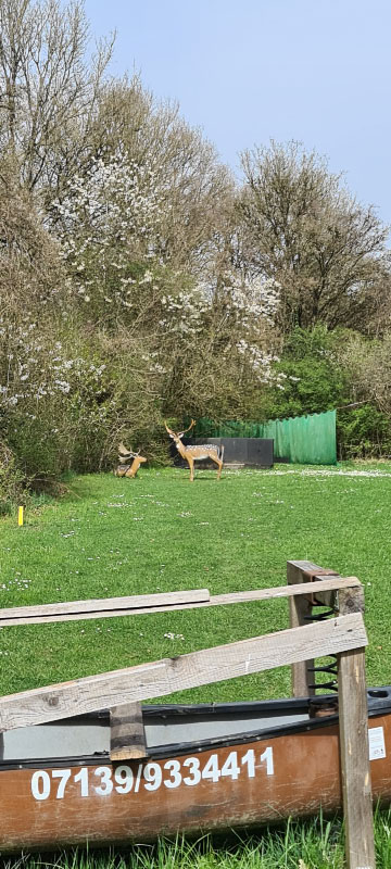 20220413 143617-bogenschiessen