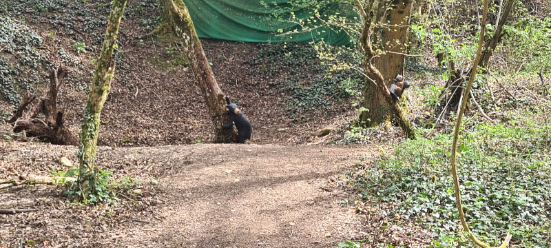 20220413 143803-bogenschiessen