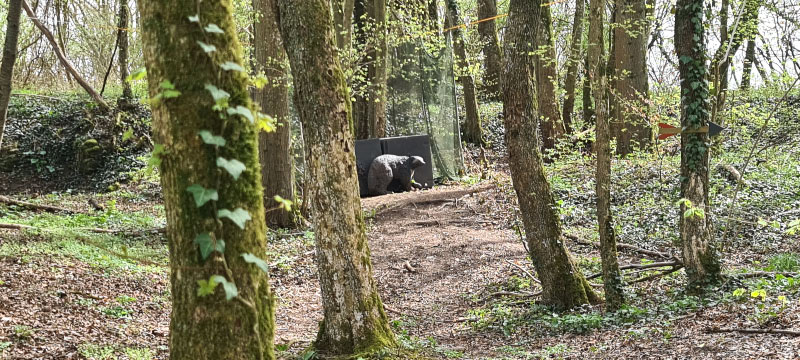 20220413 144302-bogenschiessen