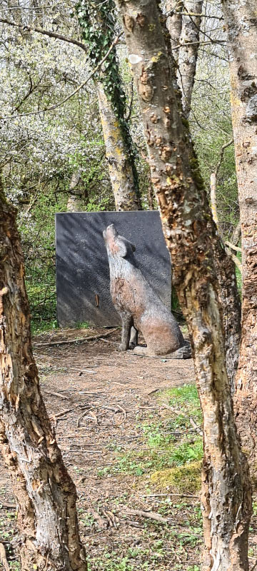 20220413 150047-bogenschiessen