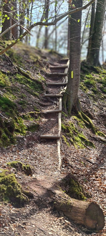 HenneburgParcours 13-bogenschiessen
