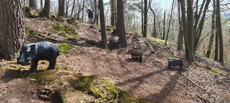 HenneburgParcours 14-bogenschiessen