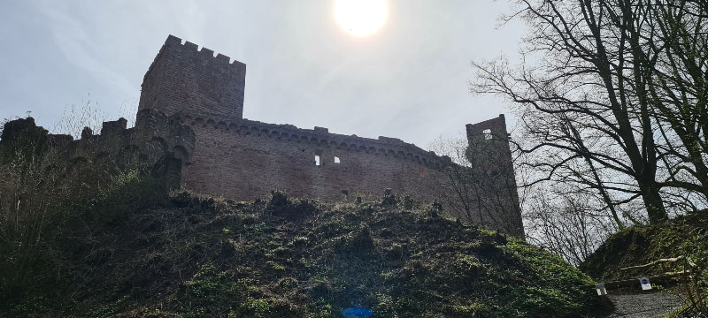 HenneburgParcours 2-bogenschiessen