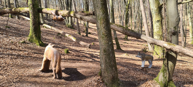 HenneburgParcours 22-bogenschiessen