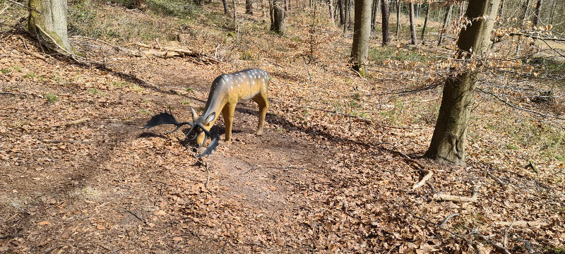 HenneburgParcours 24-bogenschiessen