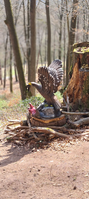 HenneburgParcours 26-bogenschiessen