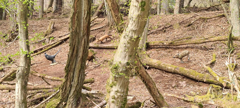 HenneburgParcours 37-bogenschiessen