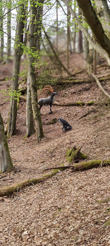 HenneburgParcours 38-bogenschiessen