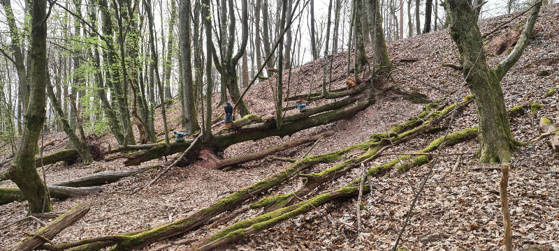 HenneburgParcours 39-bogenschiessen