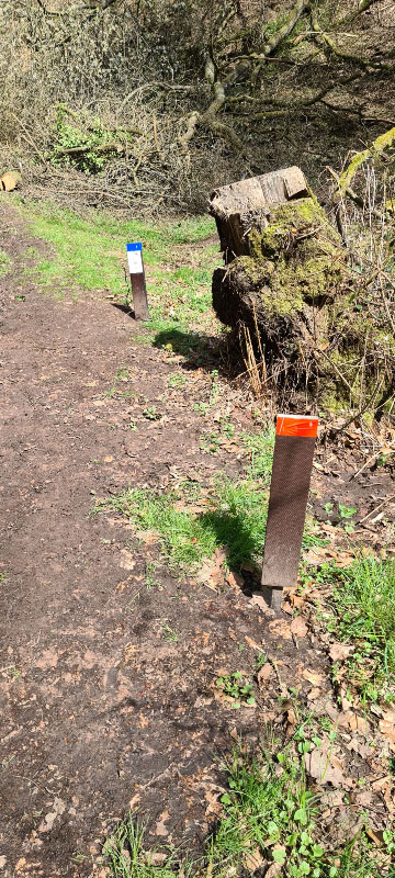 HenneburgParcours 7-bogenschiessen