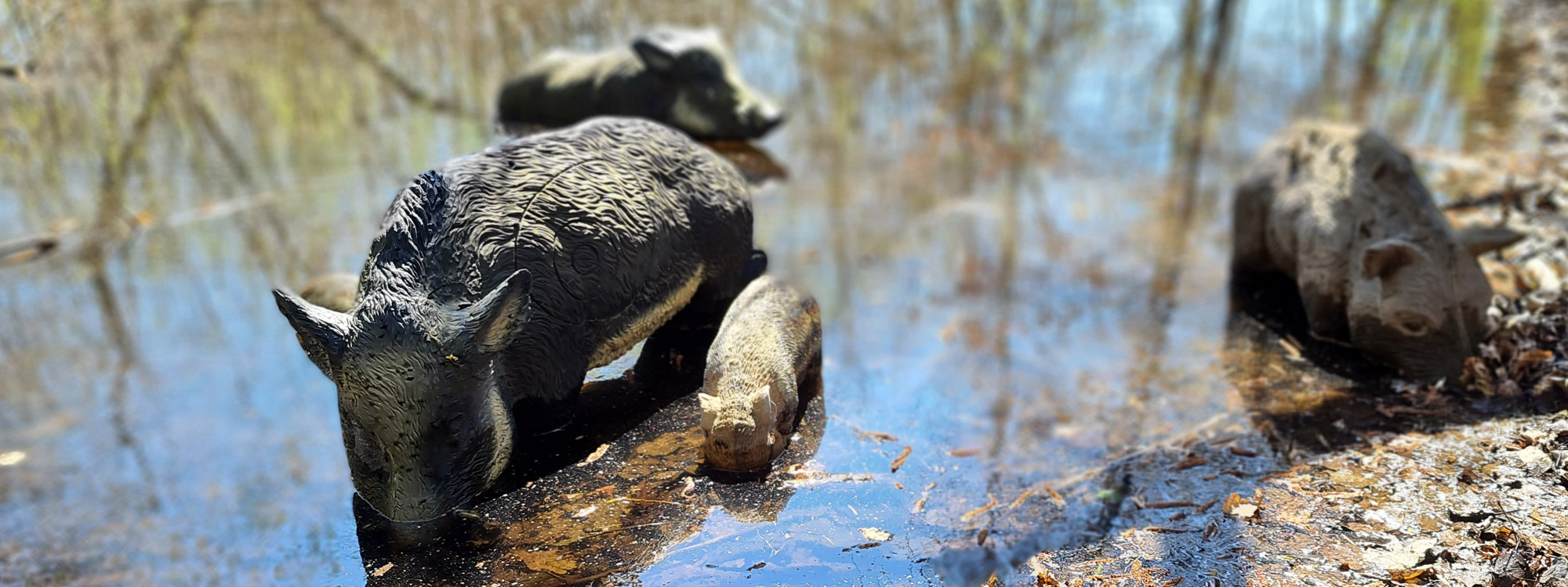 3D Parcours Hirschau