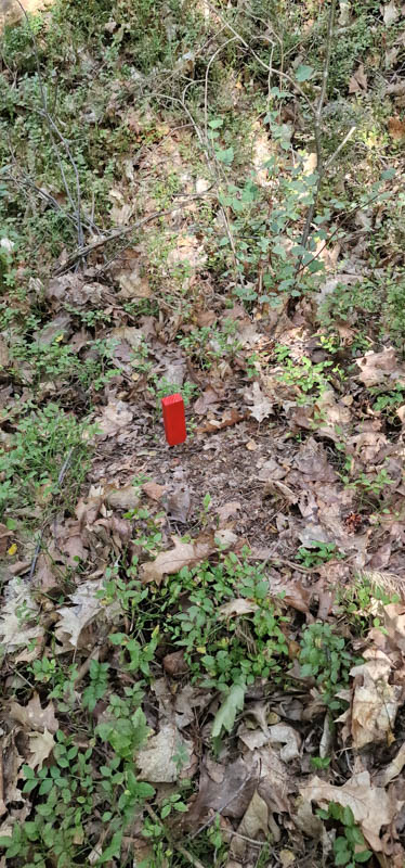 Bowhunters Oberlangenstadt 243-bogenschiessen