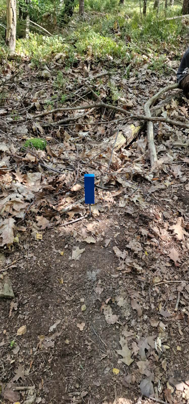 Bowhunters Oberlangenstadt 244-bogenschiessen