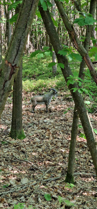Bowhunters Oberlangenstadt 247-bogenschiessen