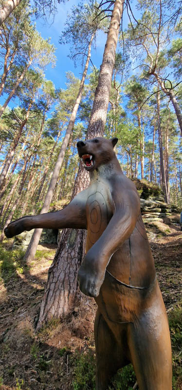 Bowhunters Oberlangenstadt 249-bogenschiessen