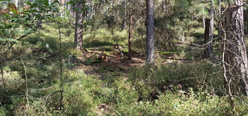 Bowhunters Oberlangenstadt 250-bogenschiessen