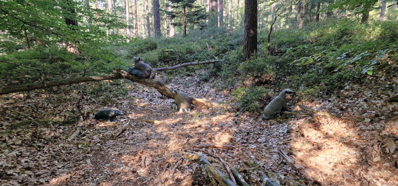 Bowhunters Oberlangenstadt 251-bogenschiessen