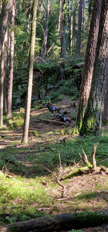 Bowhunters Oberlangenstadt 253-bogenschiessen