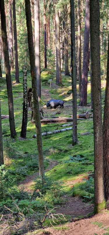 Bowhunters Oberlangenstadt 254-bogenschiessen