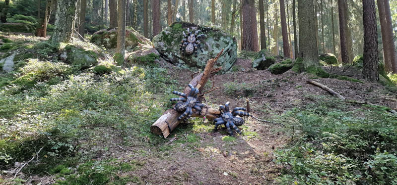 Bowhunters Oberlangenstadt 255-bogenschiessen